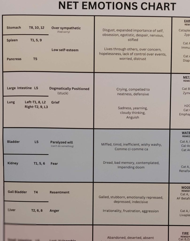 NET Neuro Emotional Chart