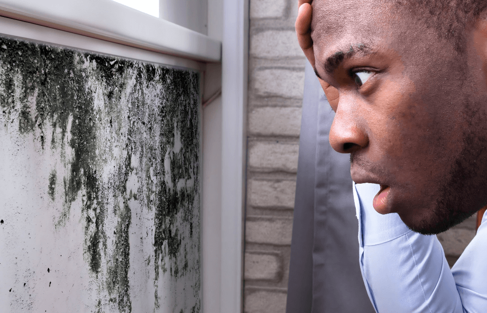 Mold causing you pain?